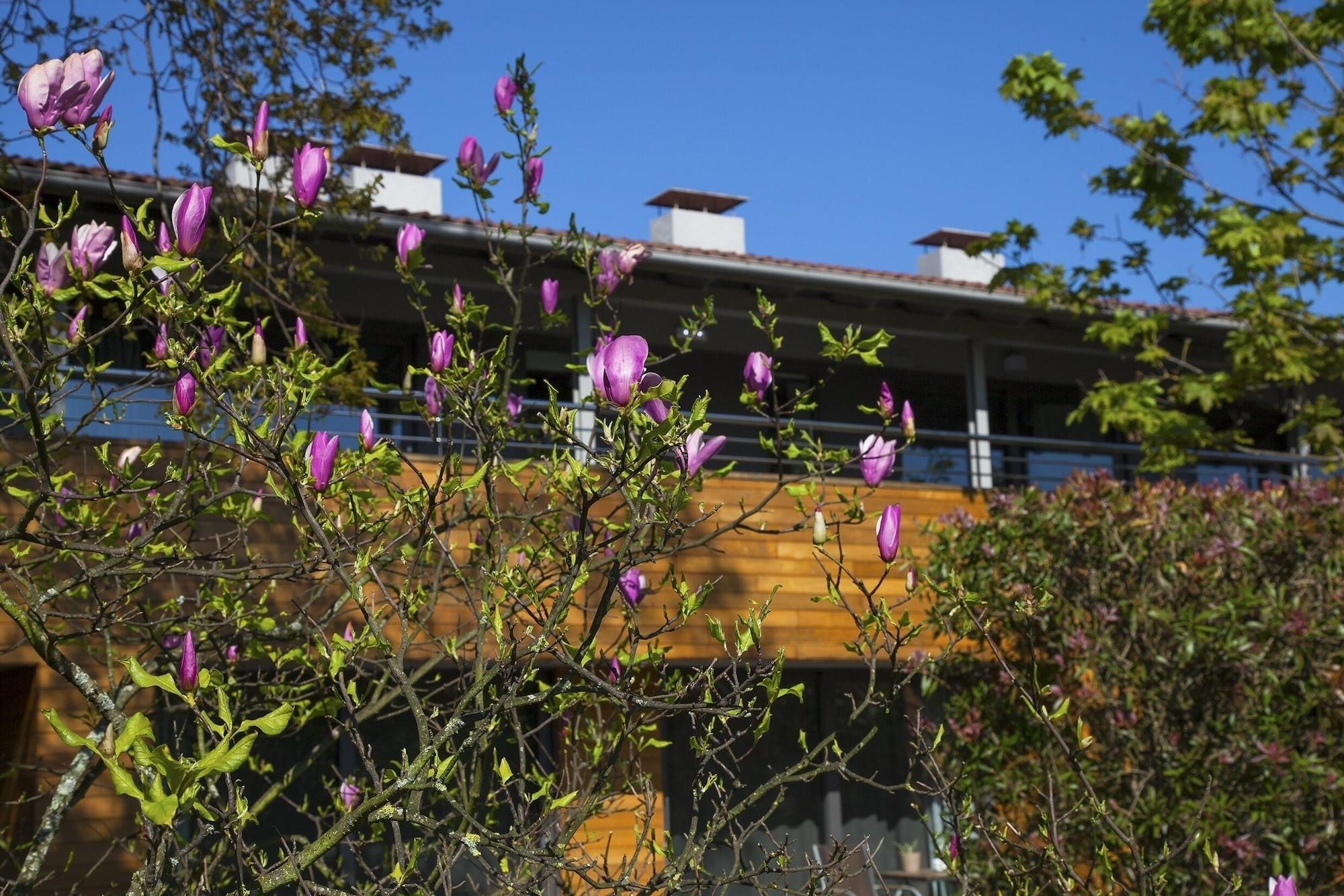 Apartamento Casona De La Paca Cudillero